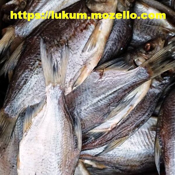 Густера с икрой