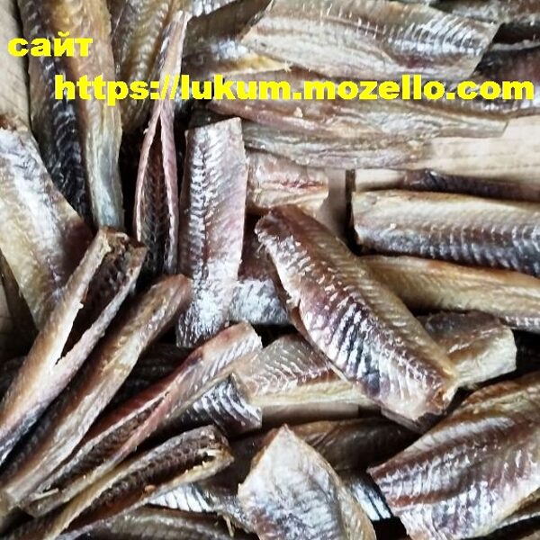 Спинка Плотвы