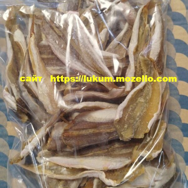 Тригла Звездочет