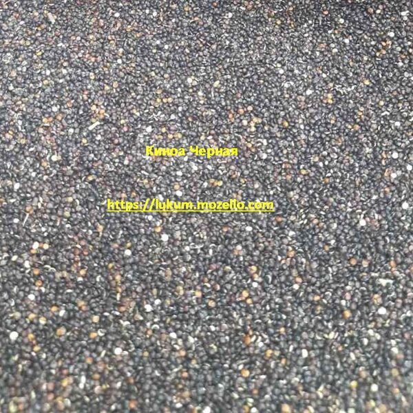 Киноа Черная