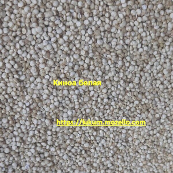 Киноа белая