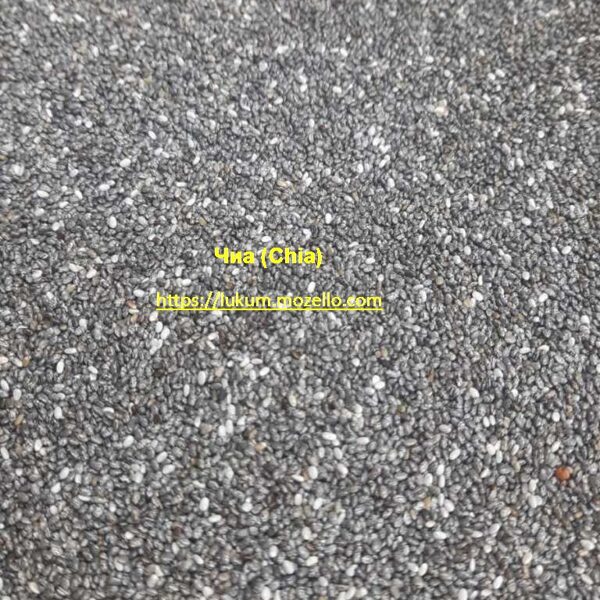 Чиа (Chia)