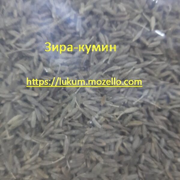 Зира, Кумин