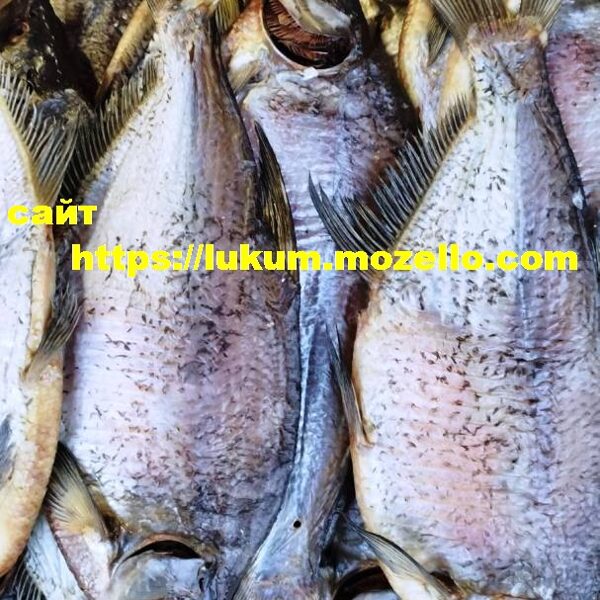 Лящ з ікрою