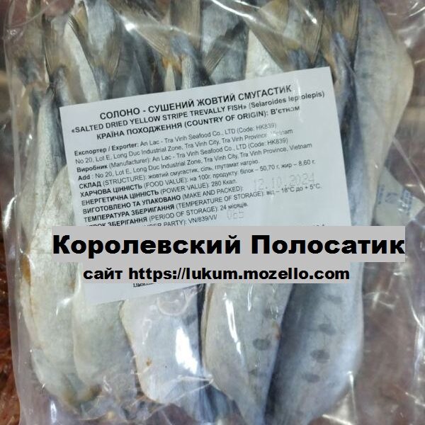 Королівський полосатик (смугастик)