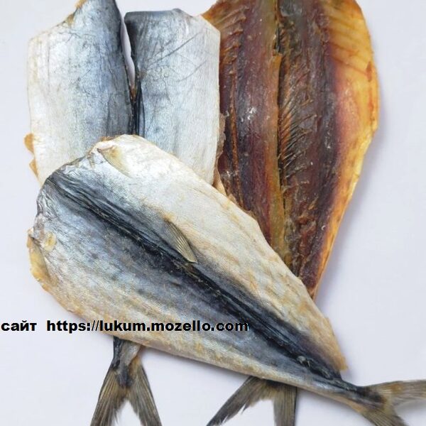 Королівський полосатик (смугастик)