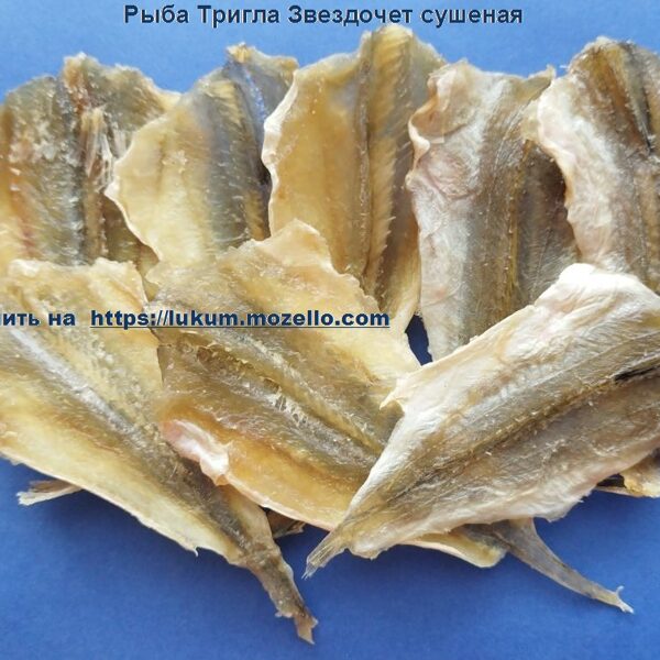 Тригла ( Звездочет )