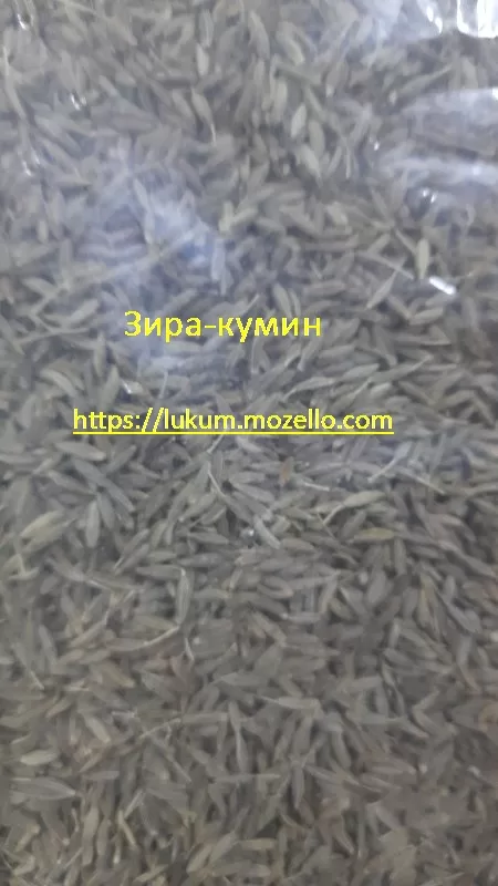 Зира, Кумин