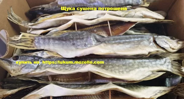 Щука сушена потрошена
